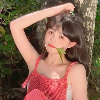 苍穹天尊官方下载